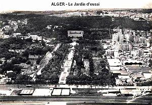 Alger - Le jardin d'essai